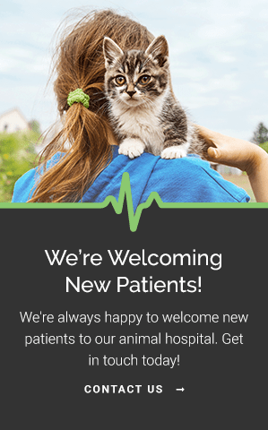 New Patients, Grande Prairie Vet