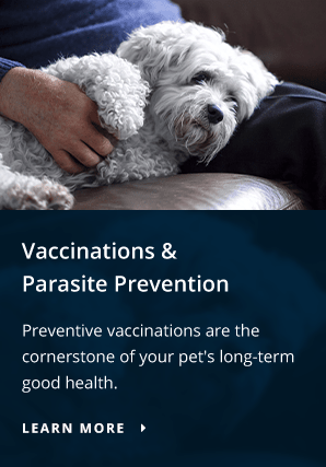 Prevent, Elk Grove Vet