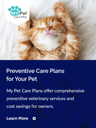 My Pet Care Plan, Skyline Animal Clinic