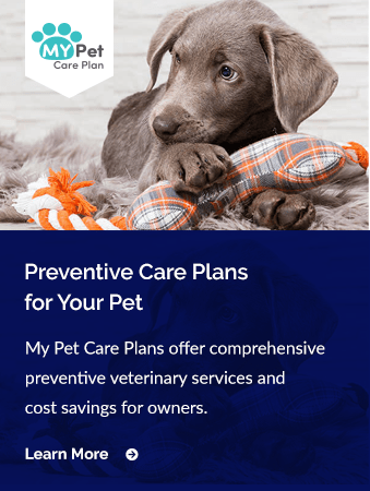 My Pet Care Plan, Skyline Animal Clinic