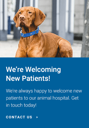 Welcoming New Patients, Altas Palmas Animal Clinic, Harlingen
