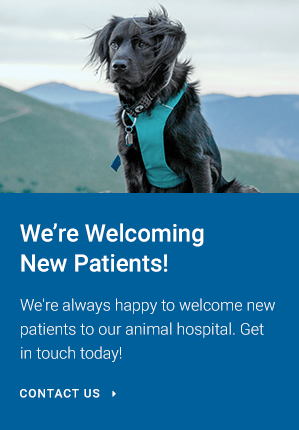 Welcoming New Patients, Cerbat Cliffs Animal Hospital, Kingman