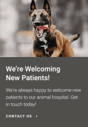 Welcoming New Patients, Riverside Veterinary Clinic, Corpus Christi