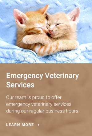 Emergency Veterinary Services