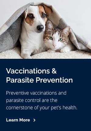 Prevent, Tucson Vet