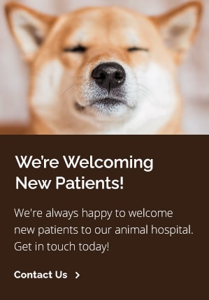 New Patients Pet Doctor | Tucson Vet